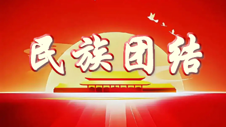 民族团结进步宣传月